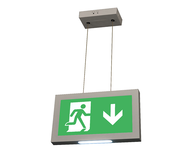 LE2915-B CORD Suspended Plafon yang Dipasang Tanda Exit