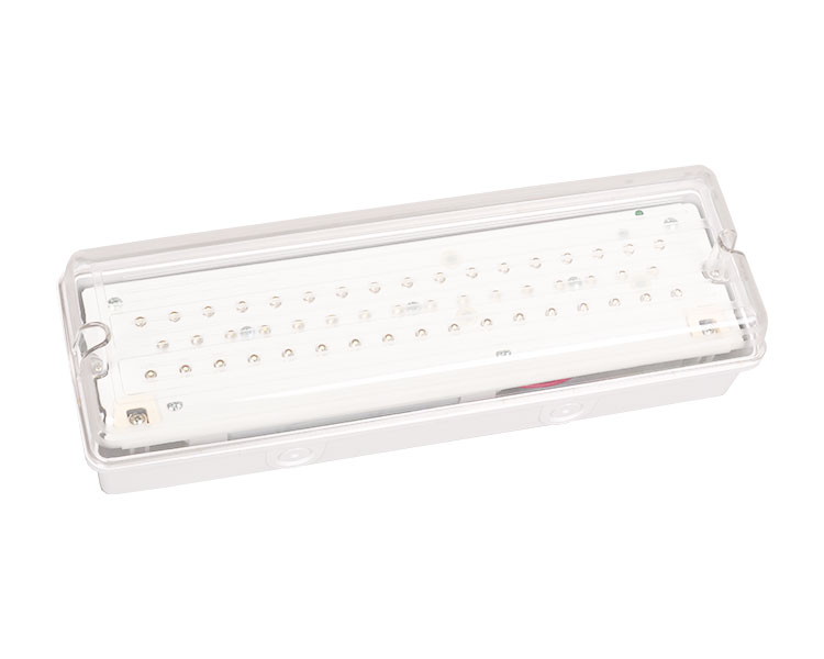 LE502L IP65 Lampu Darurat tahan air 50LED