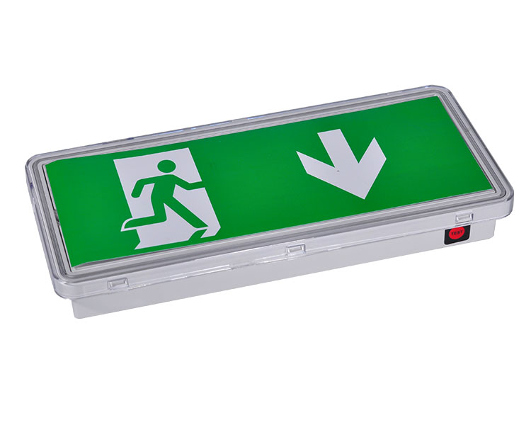 Le515-21 luminer tahan air polikarbonat bening 21LED Clear 21LED Waterproof Lumineres